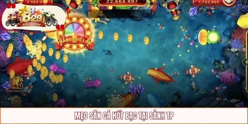Mẹo săn cá hốt bạc tại sảnh TP
